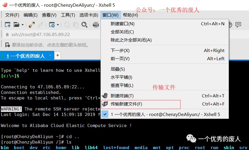linux看jdk版本命令_如何用命令查看linux版本_命令行查看linux版本